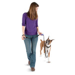Load image into Gallery viewer, PetSafe Clik-R Clip Training System, Trainer Clicker for Dogs, Attaches to Lead
