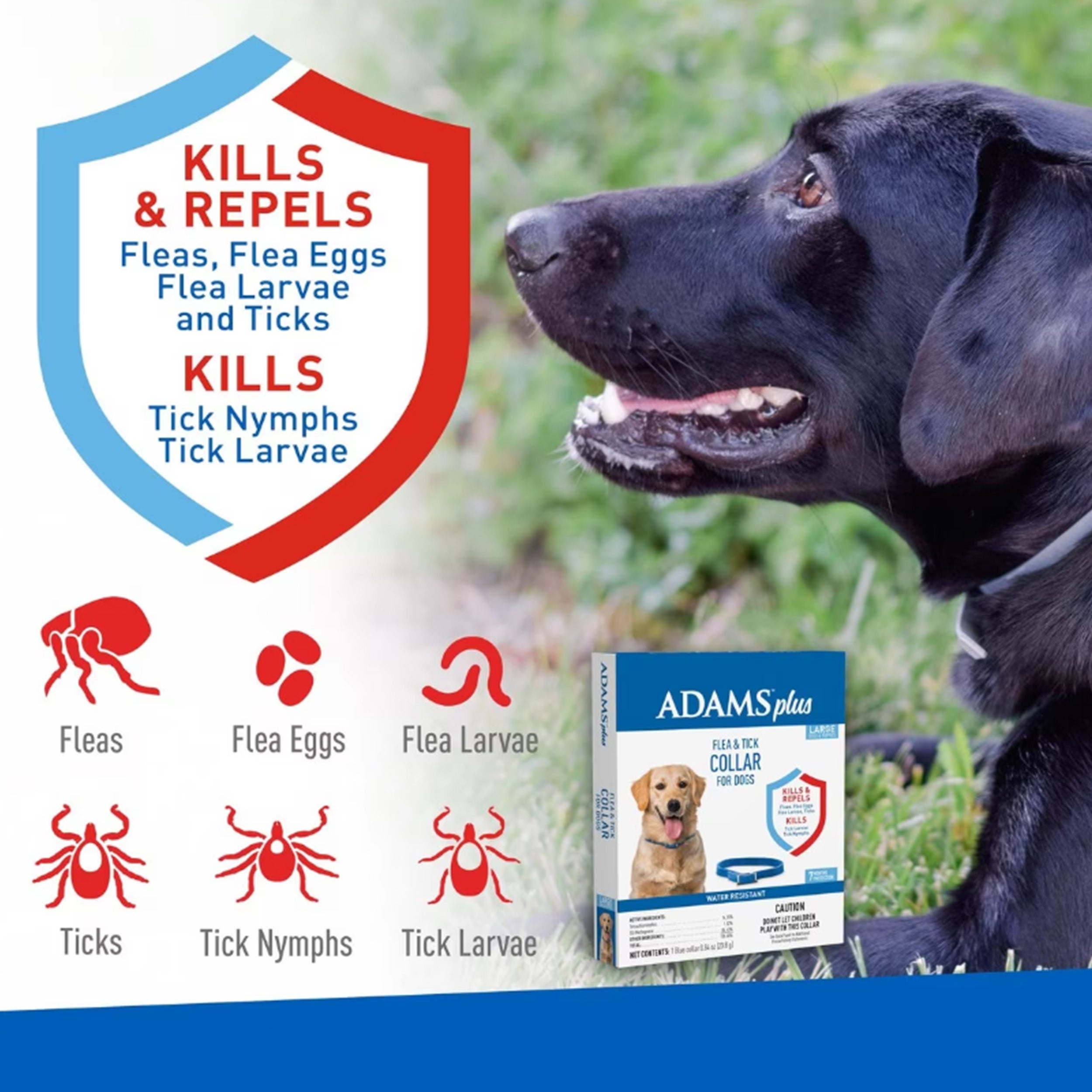 Adams Flea & Tick Collar for Dogs, Medium, Large, & Giant Breeds, 1 Collar (7-mos. supply)
