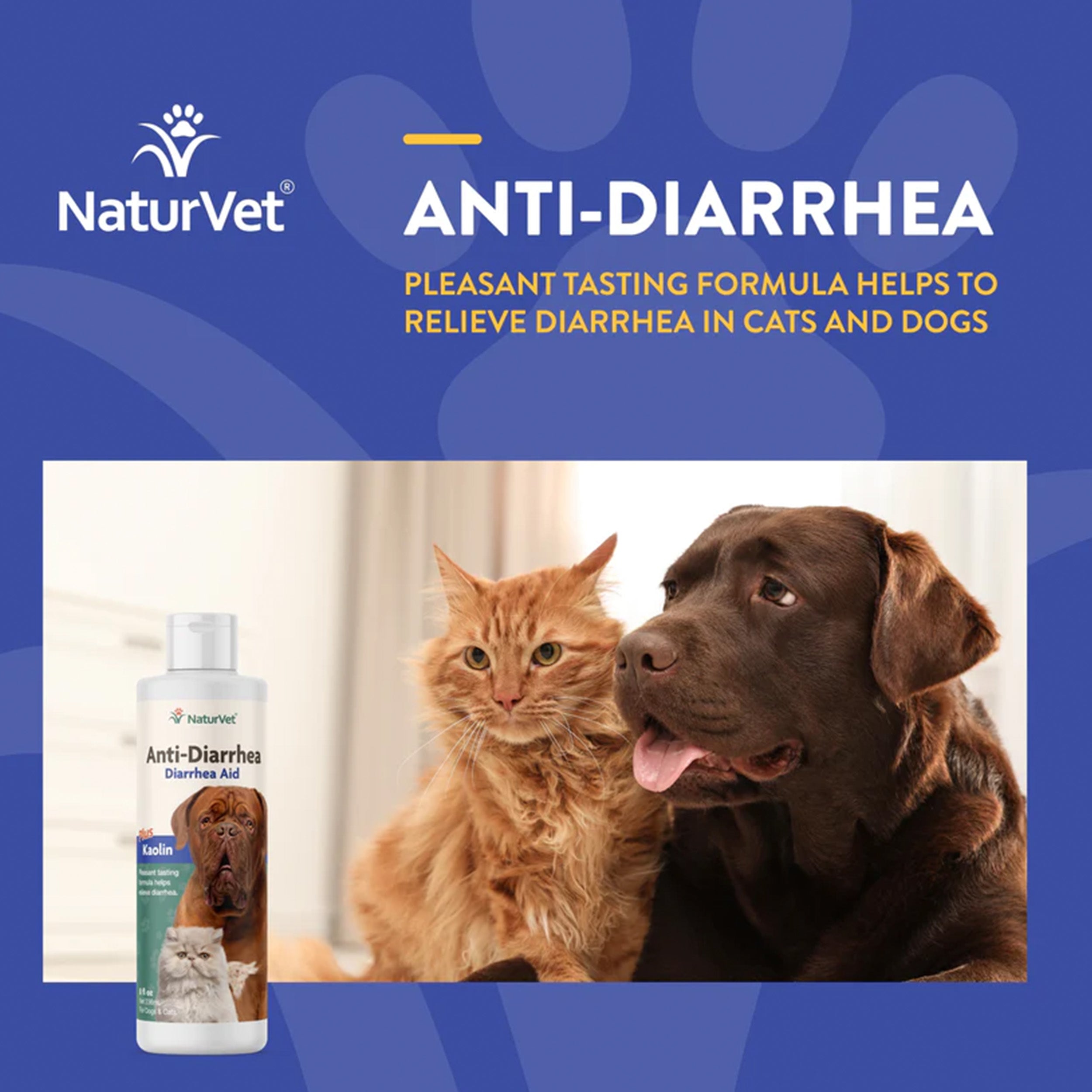 NaturVet Homeopathic Medicine for Digestive Issues & Diarrhea, 8-oz