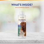 Load image into Gallery viewer, NaturVet Homeopathic Medicine for Digestive Issues &amp; Diarrhea, 8-oz
