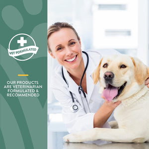 NaturVet Maintenance Care Glucosamine DS Soft Chews Joint Supplement for Dogs & Cats
