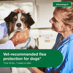 Load image into Gallery viewer, Advantage II Flea Spot Treatment for Dogs, over 55 lbs
