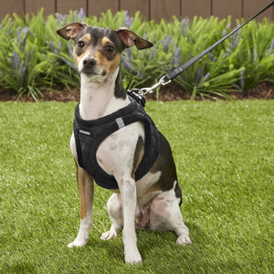 Best Pet Supplies Voyager Padded Fleece Dog Harness