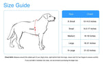 Load image into Gallery viewer, Best Pet Supplies Voyager Suede Harness
