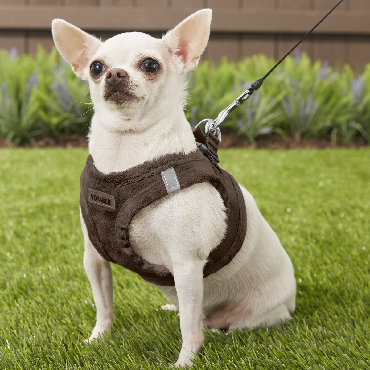 Best Pet Supplies Voyager Suede Dog Harness