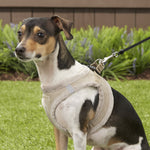 Load image into Gallery viewer, Best Pet Supplies Voyager Suede Harness
