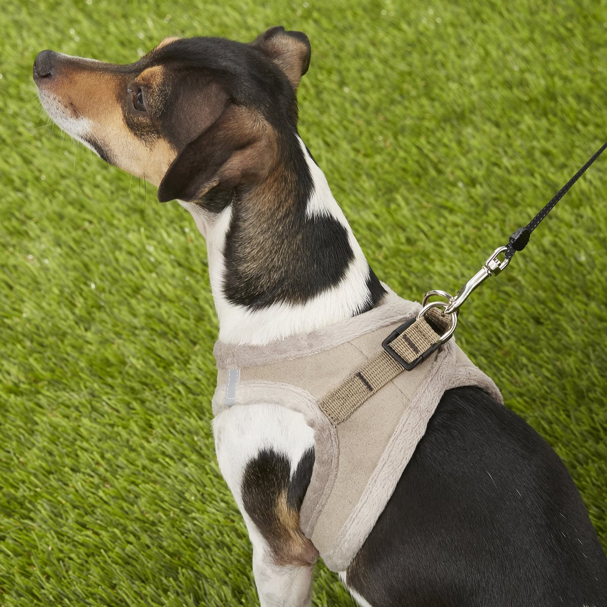 Best Pet Supplies Voyager Suede Dog Harness