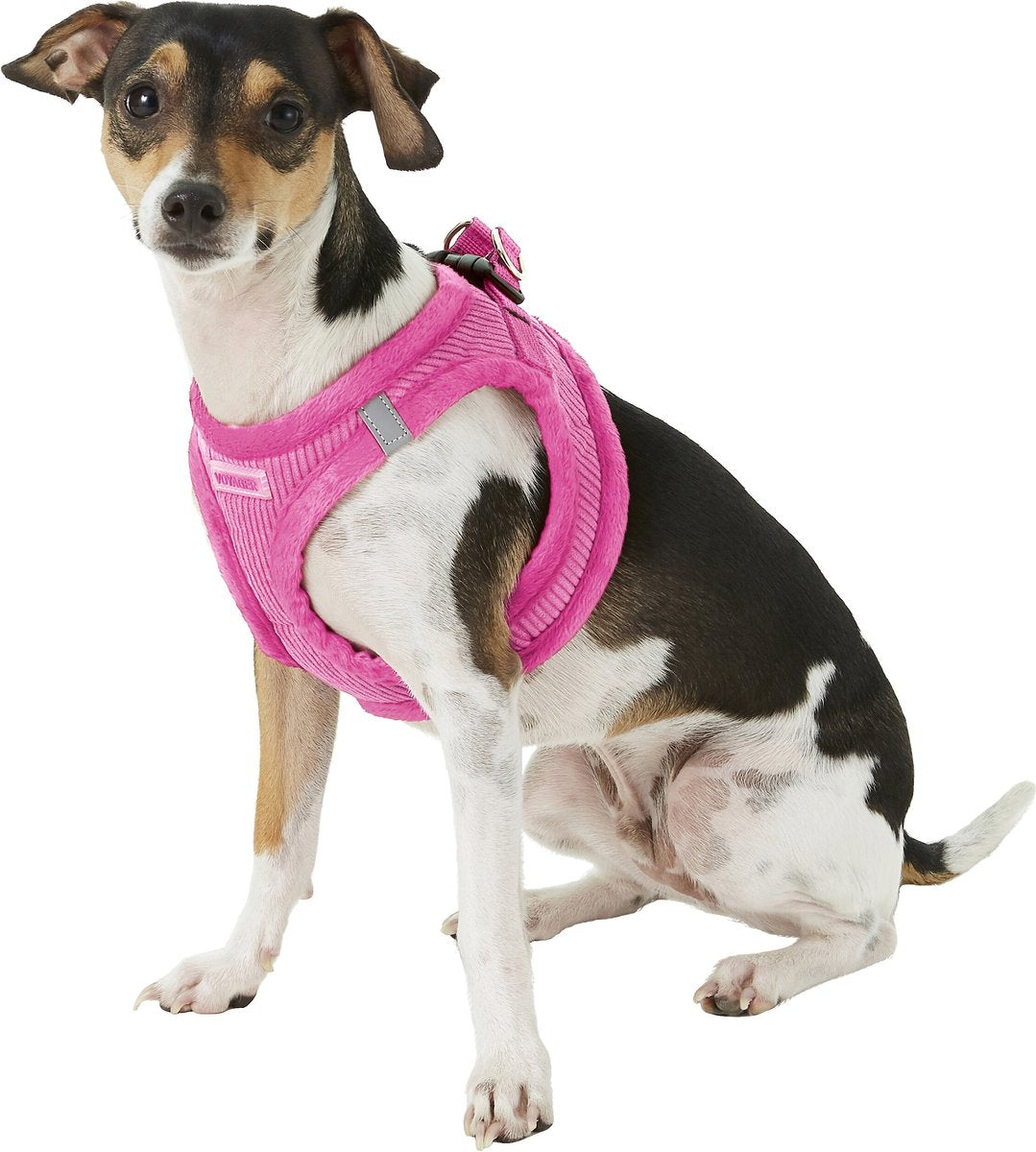 Best Pet Supplies Voyager Corduroy Dog Harness