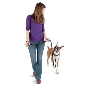 PetSafe Clik-R Clip Training System, Trainer Clicker for Dogs, Attaches to Lead