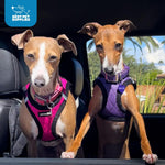 Load image into Gallery viewer, Best Pet Supplies Voyager Padded Fleece Dog Harness
