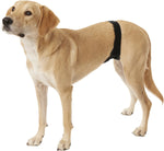 Load image into Gallery viewer, Vet&#39;s Best PerfectFit Washable Wrap For Male Dogs, Large/XL
