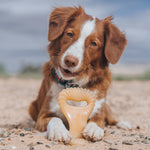 Load image into Gallery viewer, Benebone Chicken Flavor Dental Tough Dog Chew Toy
