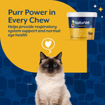 Load image into Gallery viewer, NaturVet L-Lysine Salmon &amp; Bacon Flavored Immunity Supplement for Cats, 60 count
