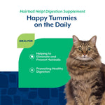 Load image into Gallery viewer, NaturVet Hairball Help! Digestion Salmon &amp; Bacon Flavored Supplement for Cats, 60 count
