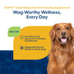 Load image into Gallery viewer, NaturVet VitaPet Adult Daily Vitamin Immunity Bacon &amp; Chicken Flavored Supplement for Dogs, 60 count
