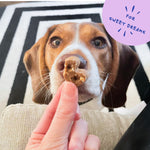 Load image into Gallery viewer, Bocce's Bakery Dailies Sweet Dreams Bananas + Honey Recipe Dog Treats, 6-oz
