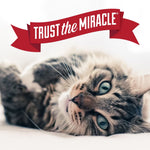 Load image into Gallery viewer, Nature's Miracle Cat Scratching Deterrent Spray, 8-fl oz bottle
