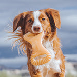 Load image into Gallery viewer, Benebone Chicken Flavor Dental Tough Dog Chew Toy
