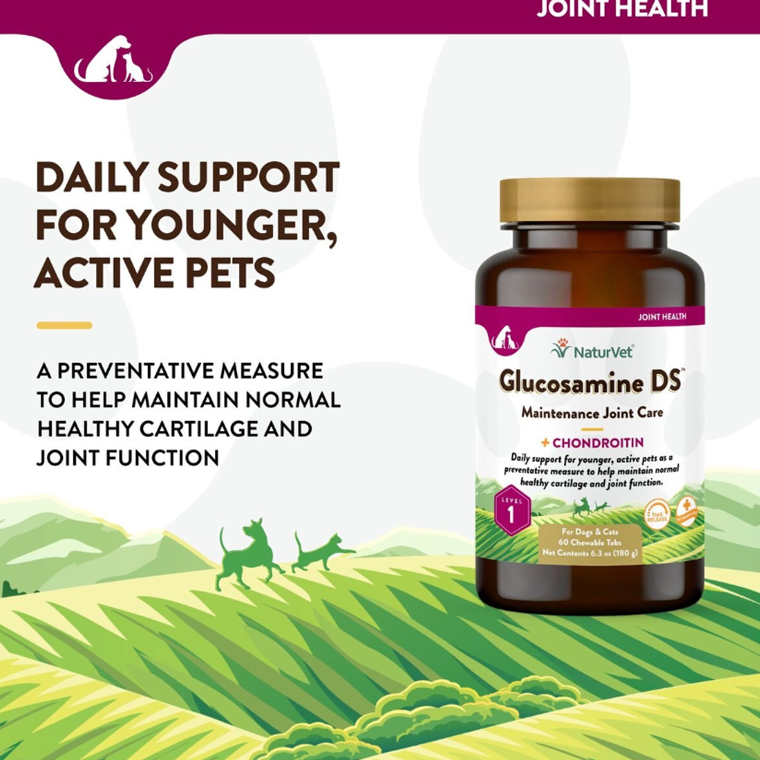 NaturVet Maintenance Care Glucosamine DS Chewable Tablets Joint Supplement for Dogs & Cats