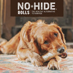 Load image into Gallery viewer, Earth Animal No-Hide Dog Chew Humanely Raised Chicken Recipe, 1 count
