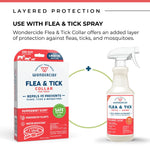 Load image into Gallery viewer, Natural Flea, Tick &amp; Mosquito Repellent Small to Medium Dogs Collar, Peppermint

