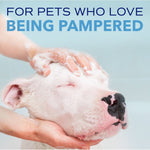 Load image into Gallery viewer, TropiClean Spa Dog Facial Cleanser &amp; Tear Stain Remover
