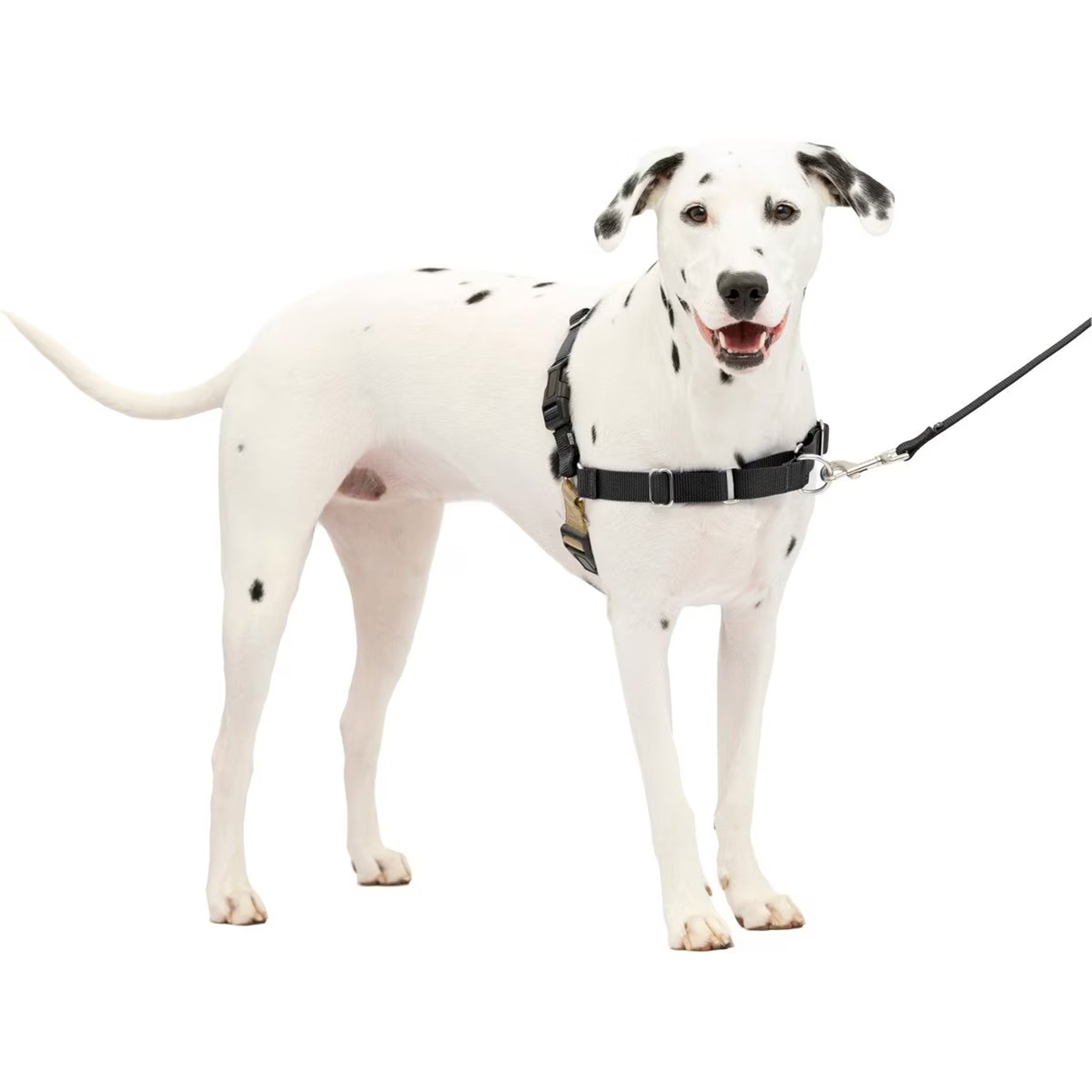 PetSafe Easy Walk Dog Harness