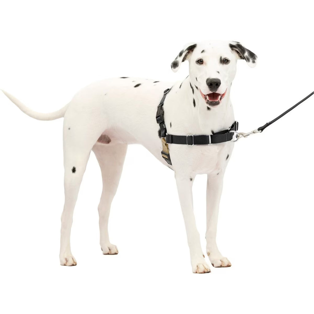 PetSafe Easy Walk Dog Harness