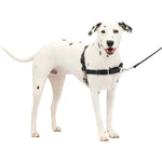 Load image into Gallery viewer, PetSafe Easy Walk Dog Harness

