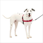 Load image into Gallery viewer, PetSafe Easy Walk Dog Harness
