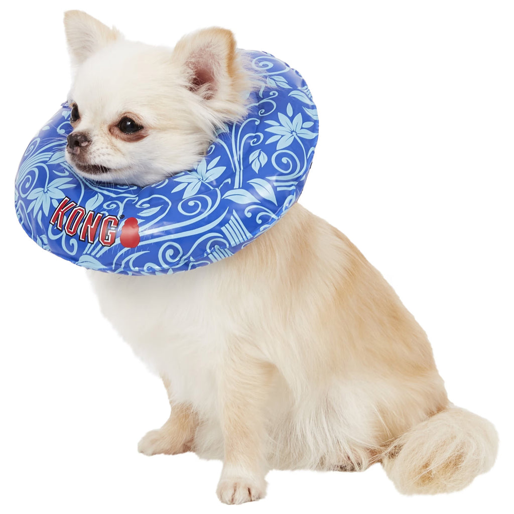 Kong Cushion For Dogs & Cats