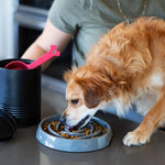 Load image into Gallery viewer, Messy Mutts Interactive Slow Feeder
