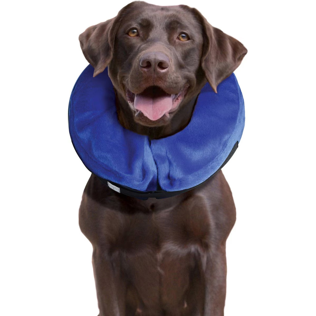KONG Cloud Collar for Dogs & Cats