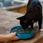 Load image into Gallery viewer, Messy Mutts Interactive Slow Feeder
