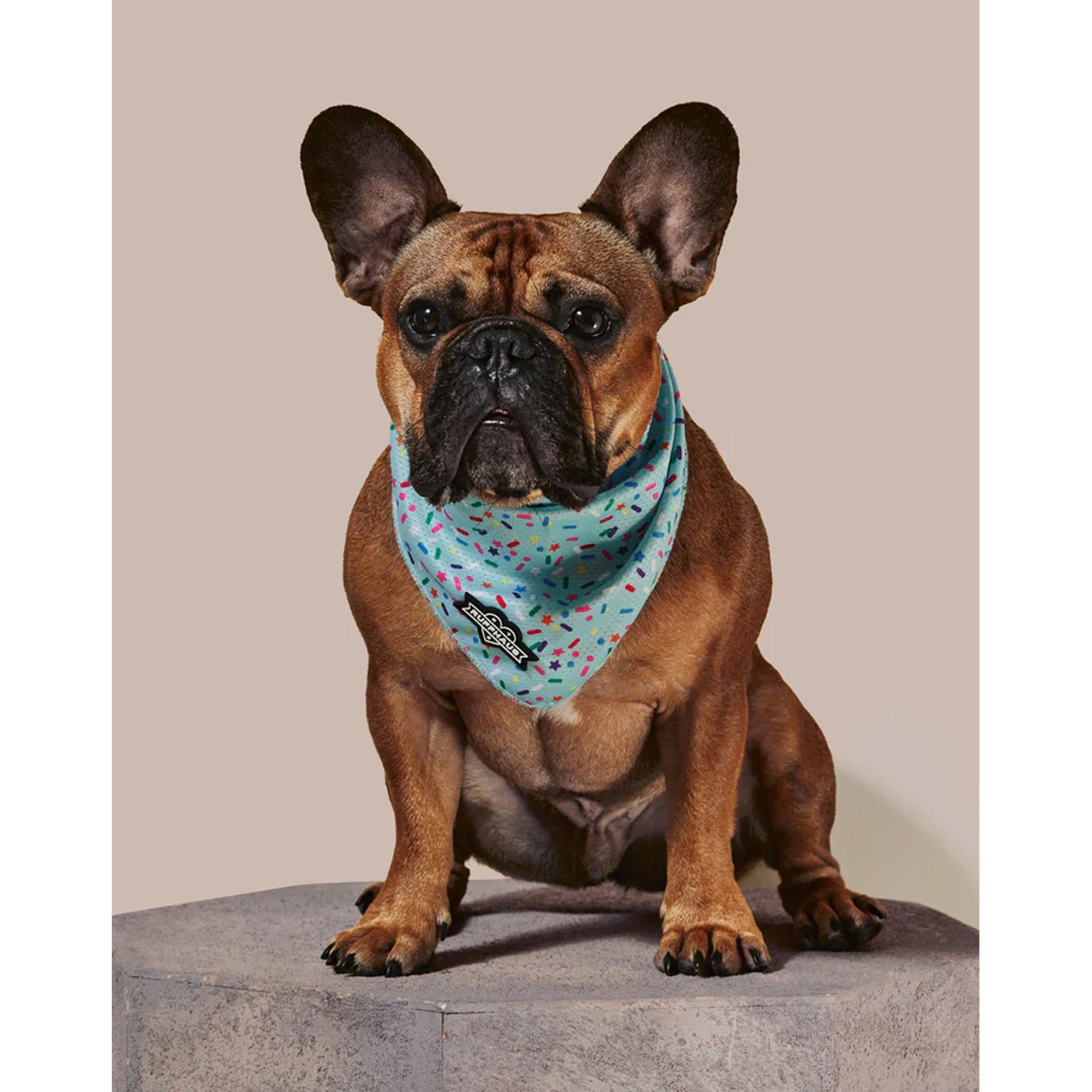 RUFFHAUS NYC Sprinkle Me Cooling Bandana