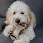 Load image into Gallery viewer, Benebone Peanut Butter Flavor Dental Tough Dog Chew Toy
