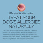 Load image into Gallery viewer, YumWoof! Perfect Immunity, Dog Food Topper, 2.5oz
