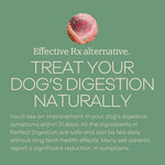 Load image into Gallery viewer, YumWoof! Perfect Digestion, Dog Food Topper, 2.5oz
