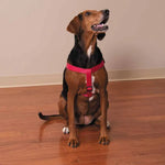 Load image into Gallery viewer, Casual Canine Two-Step Harness
