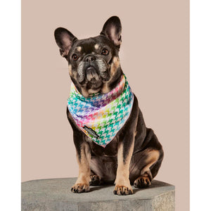 Rainbowtooth Cooling Bandana