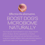 Load image into Gallery viewer, YumWoof! Perfect Probiotics, Dog Food Topper, 2.1oz
