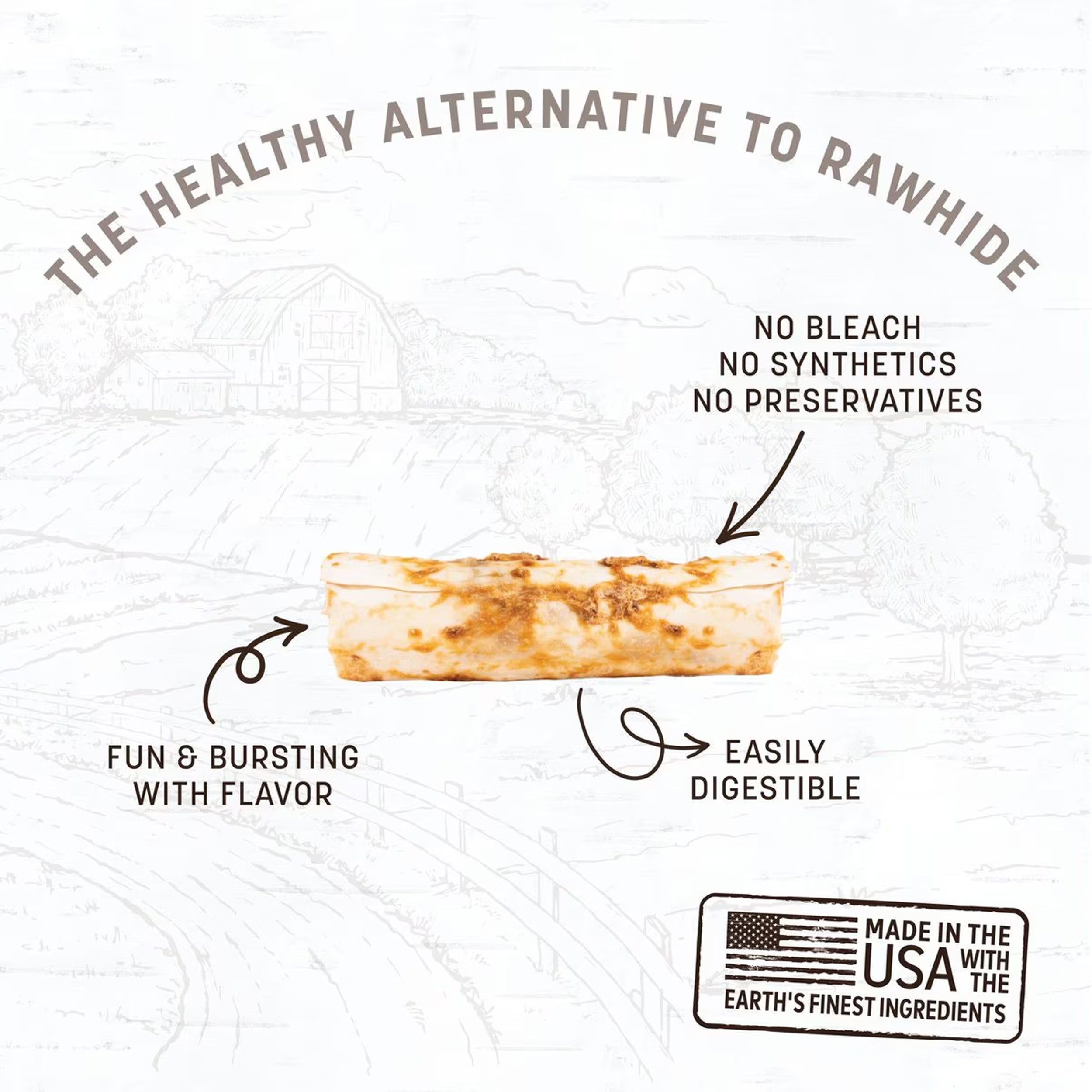 Earth Animal No-Hide Dog Chew, Salmon, 1-Count