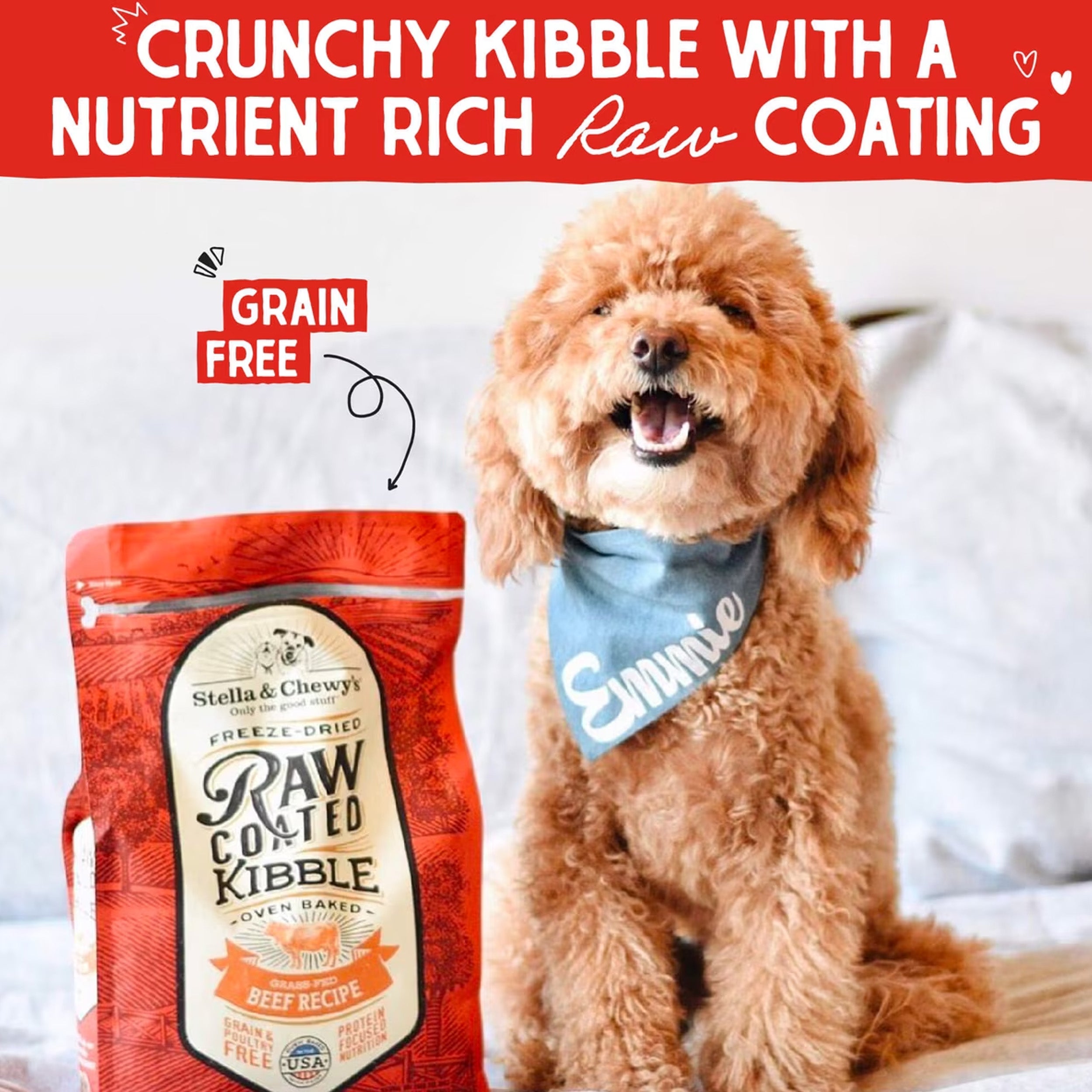 Stella & Chewy's Raw Coated Grass-Fed Beef Recipe Grain-Free Dry Dog Food, 3.5-lb bag