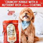 Load image into Gallery viewer, Stella &amp; Chewy&#39;s Raw Coated Grass-Fed Beef Recipe Grain-Free Dry Dog Food, 3.5-lb bag
