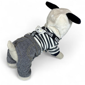 Bunny Hoodie For Small Dogs