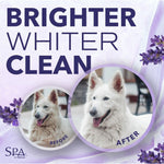 Load image into Gallery viewer, TropiClean Spa White Coat Dog &amp; Cat Shampoo, Luxurious Lavender Scent, 16-fl oz bottle
