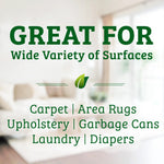 Load image into Gallery viewer, Bac-Out Carpet Stain + Odor Remover Foaming Action Spray - 32 Fl Oz
