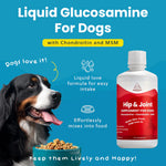 Load image into Gallery viewer, Paramount Pet Health Glucosamine Hip &amp; Joint Supplement for Dogs, 32-fl oz bottle
