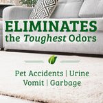 Load image into Gallery viewer, Bac-Out Carpet Stain + Odor Remover Foaming Action Spray - 32 Fl Oz
