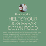 Load image into Gallery viewer, YumWoof! Perfect Digestion, Dog Food Topper, 2.5oz
